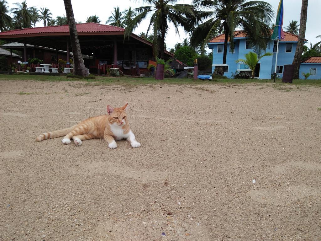 Happy Days Resort Koh Mak Exteriör bild