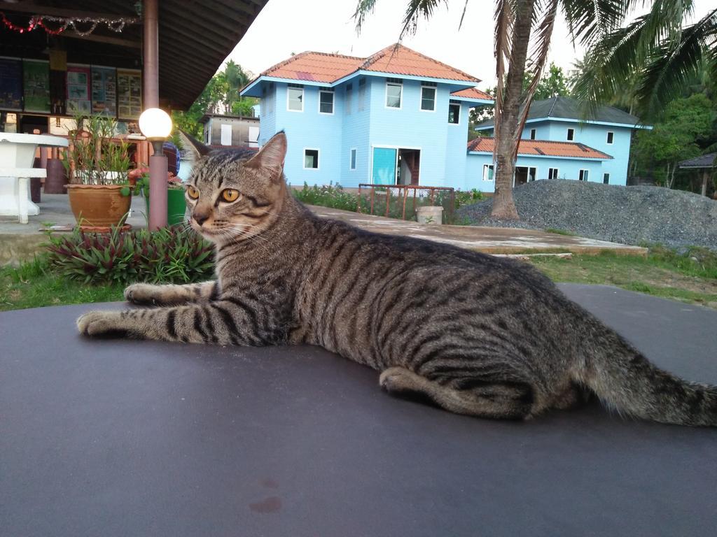 Happy Days Resort Koh Mak Exteriör bild